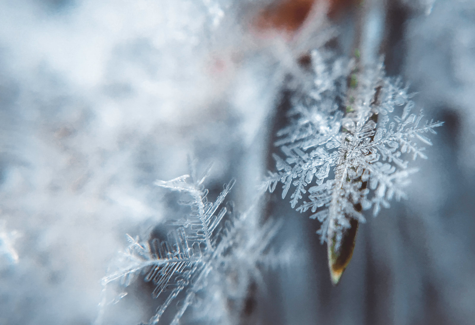 Où voir de la neige au Portugal ?