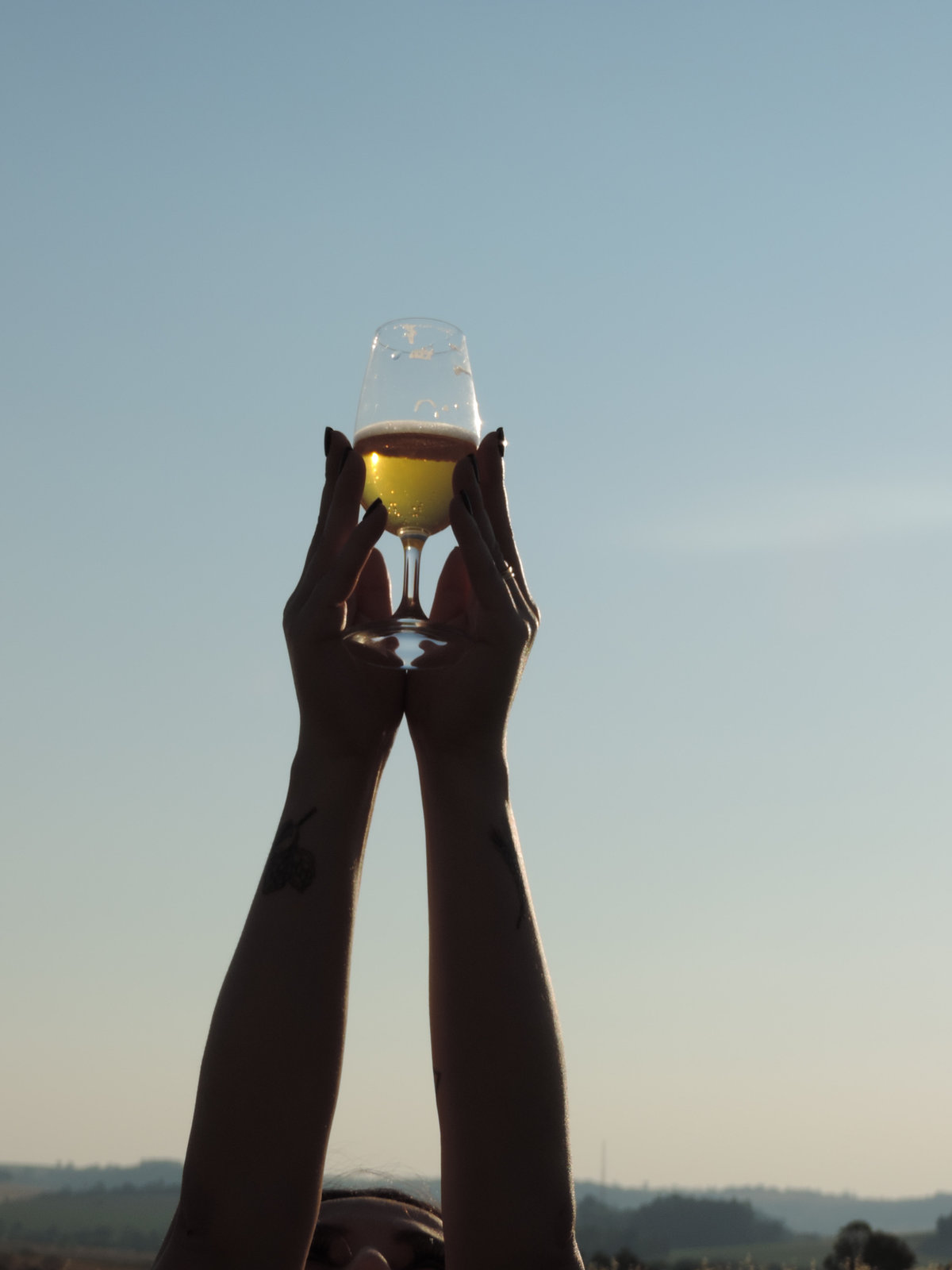 Bière Bohemia - Voyage à Lisbonne Blog